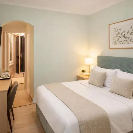 B&B Green's Harmony 피사