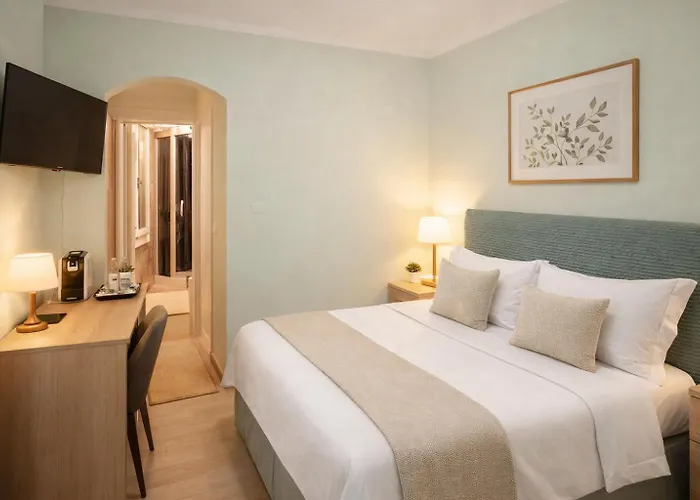 B&B Green's Harmony 피사