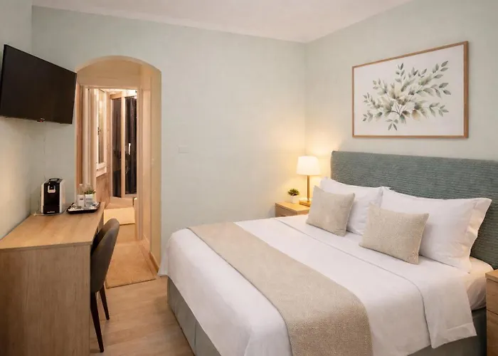 Green's Harmony B&B 피사